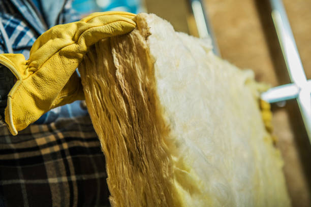 Best Energy-efficient Insulation  in Hebron, IL